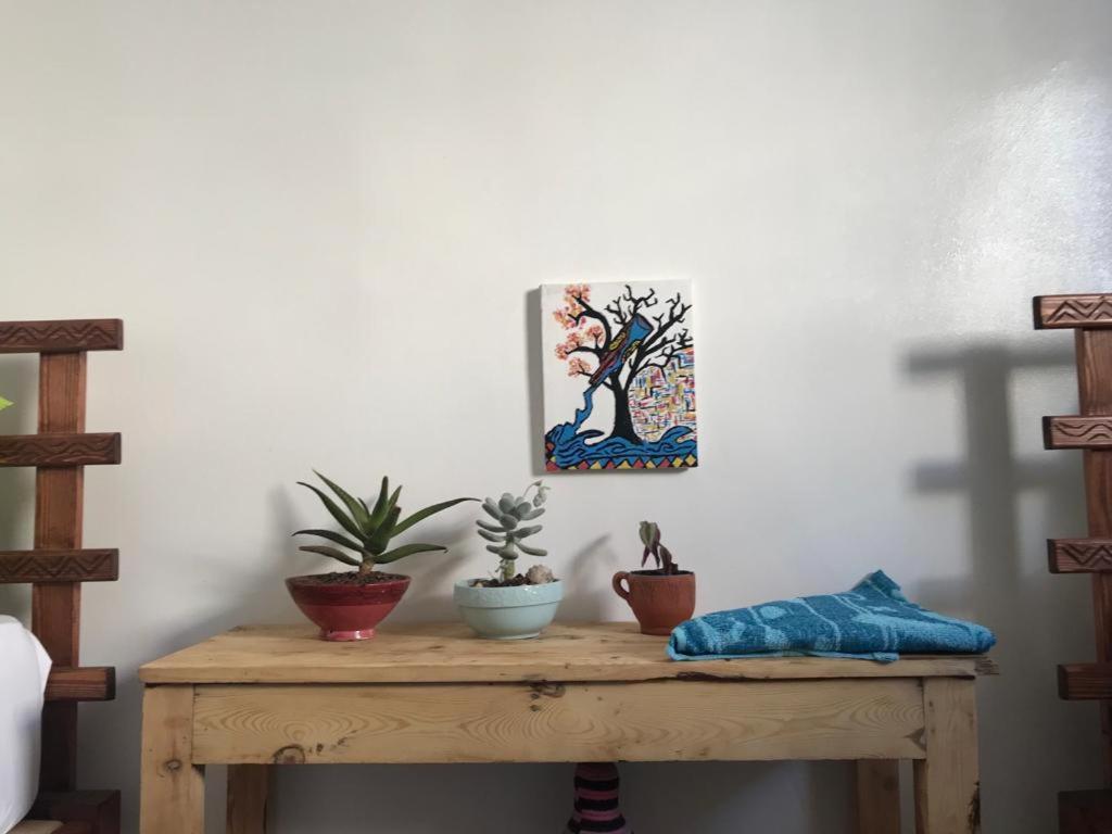 Binic Surf House Bed & Breakfast Taghazout Bagian luar foto