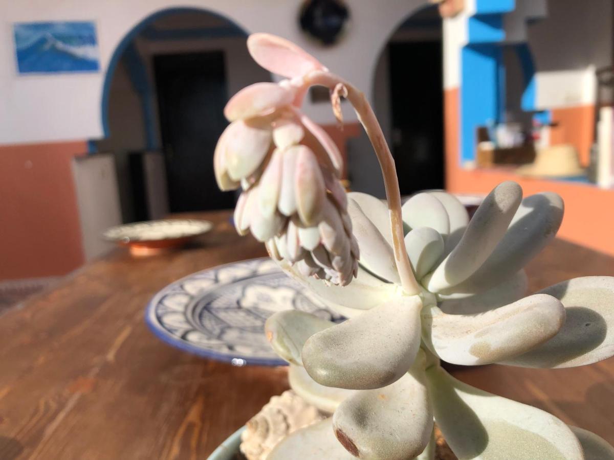 Binic Surf House Bed & Breakfast Taghazout Bagian luar foto