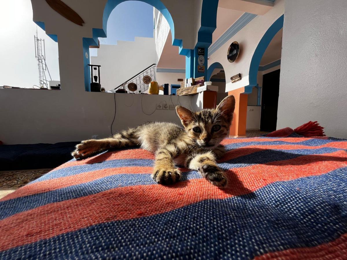 Binic Surf House Bed & Breakfast Taghazout Bagian luar foto